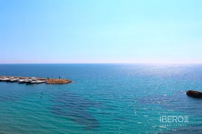 Wohnzimmer; holzboden, tageslicht, moderner stil, hohe decken