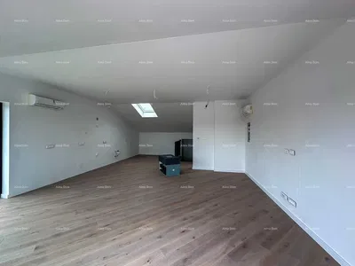 Küche; küchengeräte, holzboden, tageslicht, moderner stil, renoviert