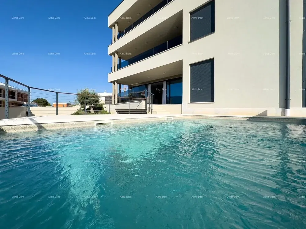 Living room; wood floor, natural light, modern style, high ceiling