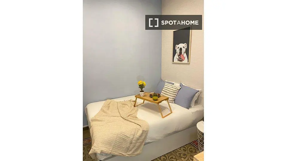 Cuisine; électroménager, carrelage, lumière naturelle, style moderne