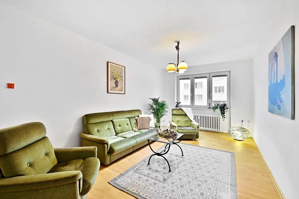 Living room; natural light, wood floor, modern style, high ceiling