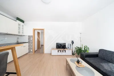 Dnevna soba; drveni pod, prirodno svjetlo, moderni stil, visoki plafoni