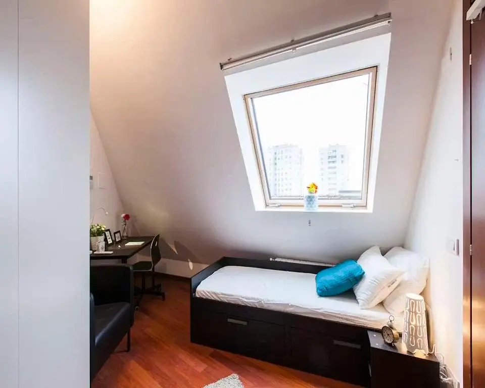 Kitchen; kitchen appliances, wood floor, natural light, modern style, renovated