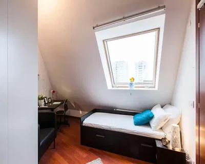 Kitchen; kitchen appliances, wood floor, natural light, modern style, renovated