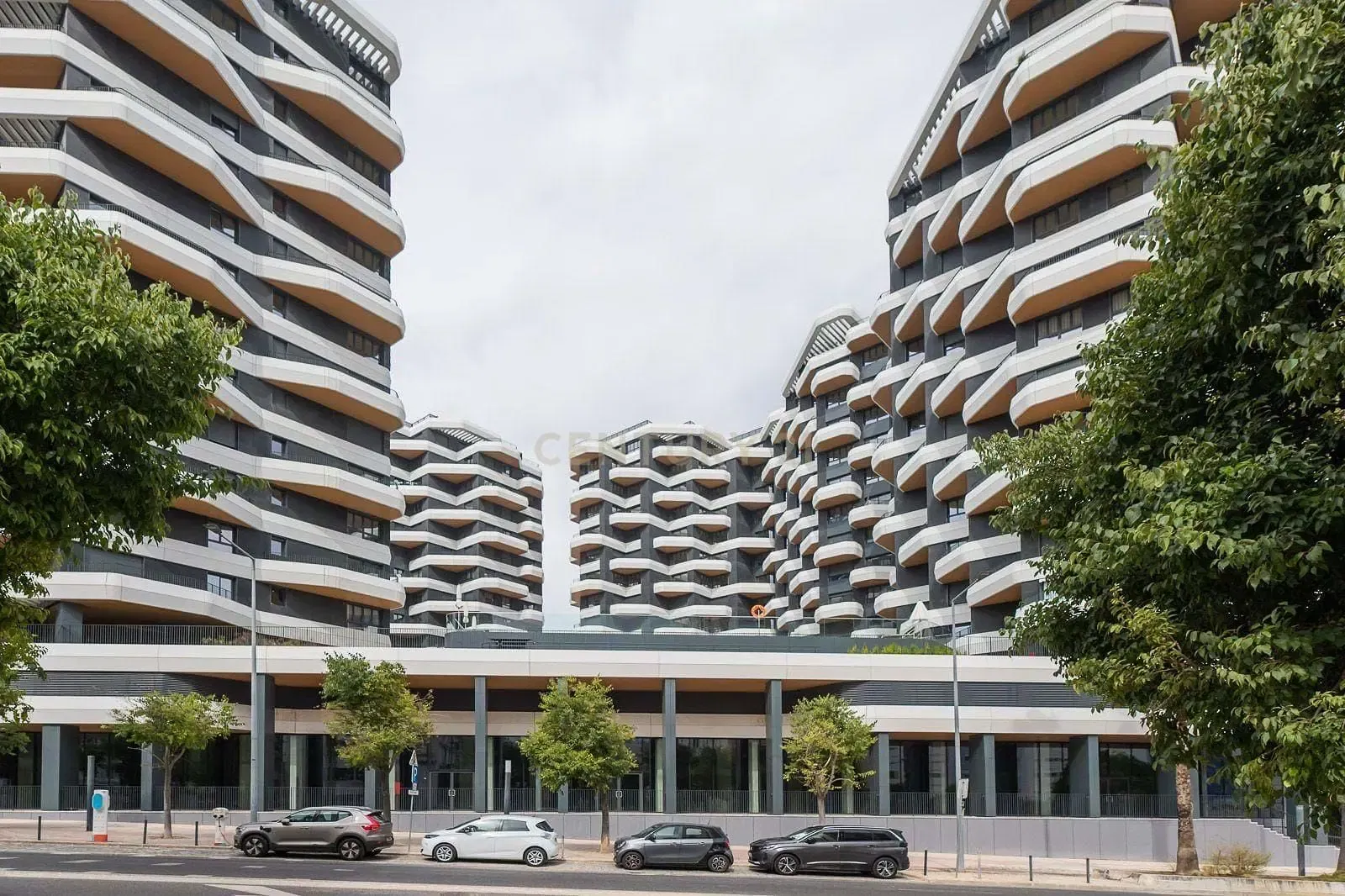 Kitchen; kitchen appliances, wood floor, natural light, modern style, renovated