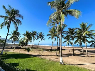 Дневна соба; дрвени под, природно светло, модерни стил, високи плафони