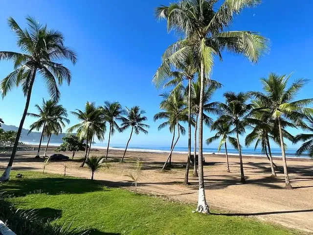 Wohnzimmer; holzboden, tageslicht, moderner stil, hohe decken
