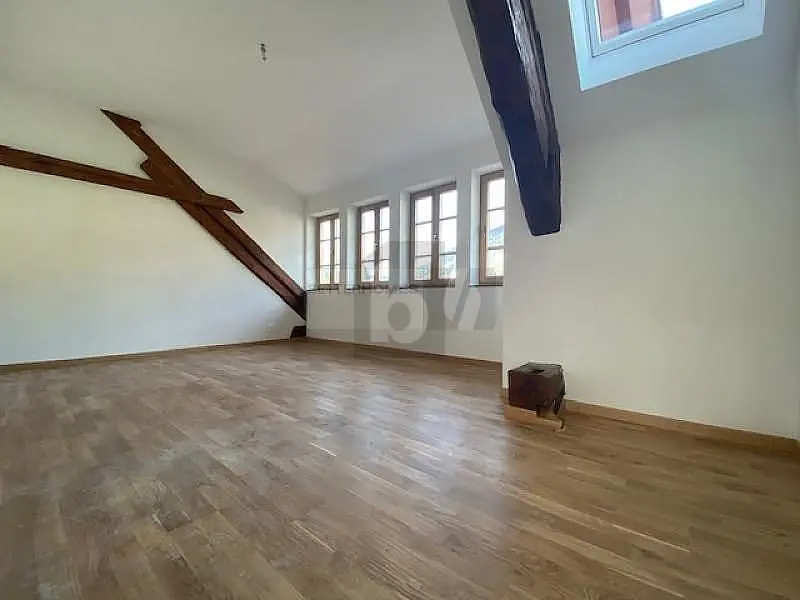 Kuchyně; kuchyňské spotřebiče, dřevěná podlaha, přirozené světlo, moderní styl, po rekonstrukci