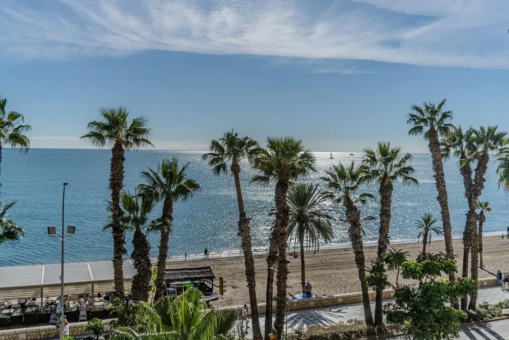Living room; wood floor, natural light, modern style, high ceiling