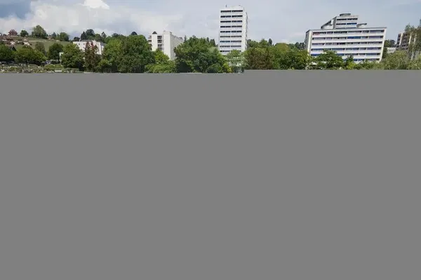 Woonkamer; houten vloer, natuurlijk licht, moderne stijl, hoge plafonds