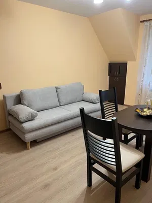 Living room; wood floor, natural light, modern style, high ceiling