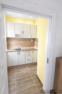 Kitchen; kitchen appliances, wood floor, natural light, modern style, renovated