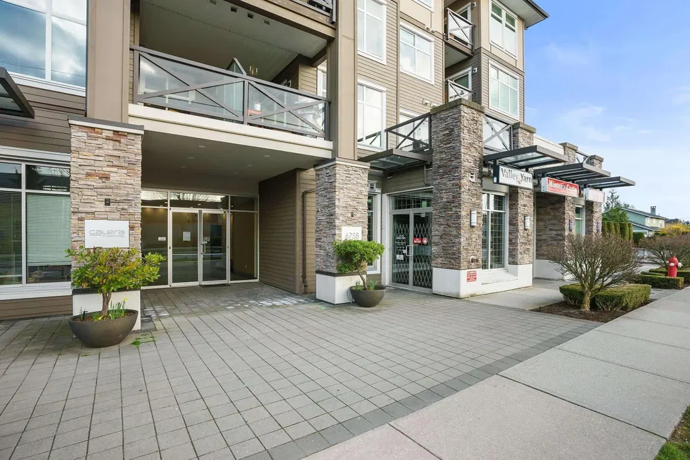 Mutfak; mutfak aletleri, ahşap zemin, doğal ışık, modern stil, tadilatlı