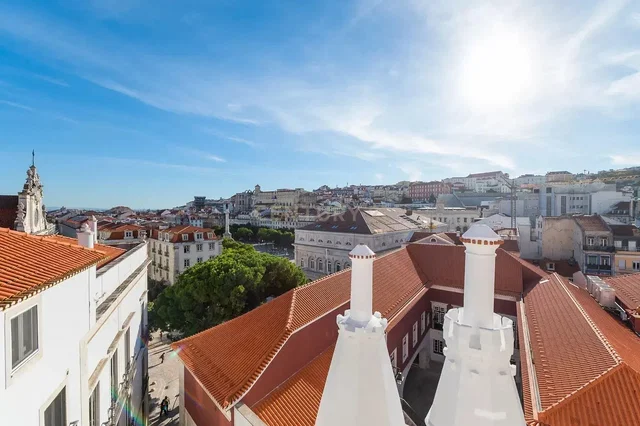 مطبخ; أجهزة المطبخ, أرضية خشبية, ضوء طبيعي, أسلوب عصري, مجدد