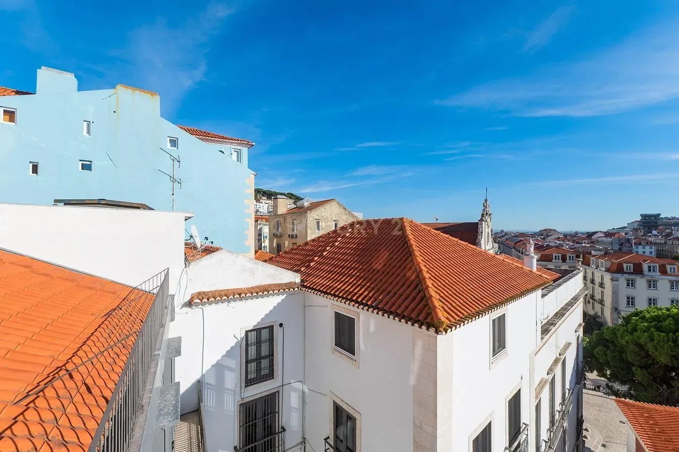 Kitchen; kitchen appliances, wood floor, natural light, modern style, renovated