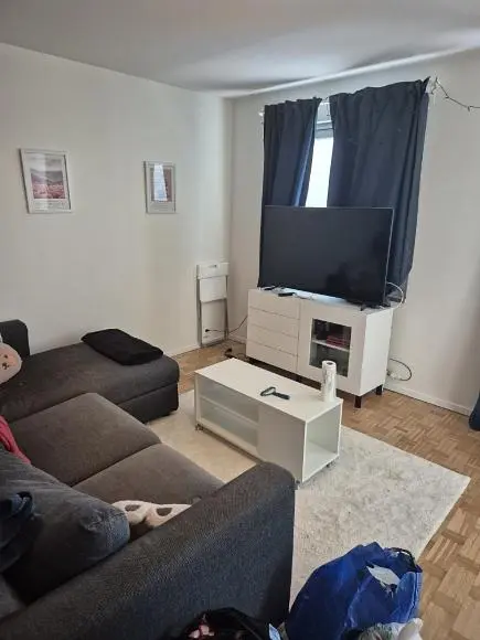 Living room; wood floor, natural light, modern style, high ceiling