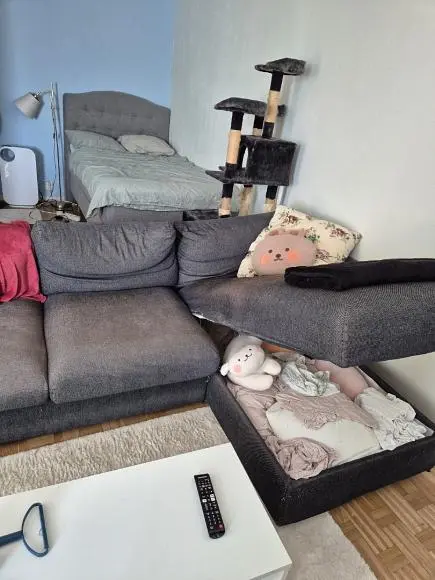 Living room; wood floor, natural light, modern style, high ceiling