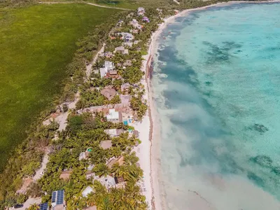 Oturma odası; ahşap zemin, doğal ışık, modern stil, yüksek tavan