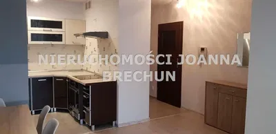 Küche; küchengeräte, holzboden, tageslicht, moderner stil, renoviert