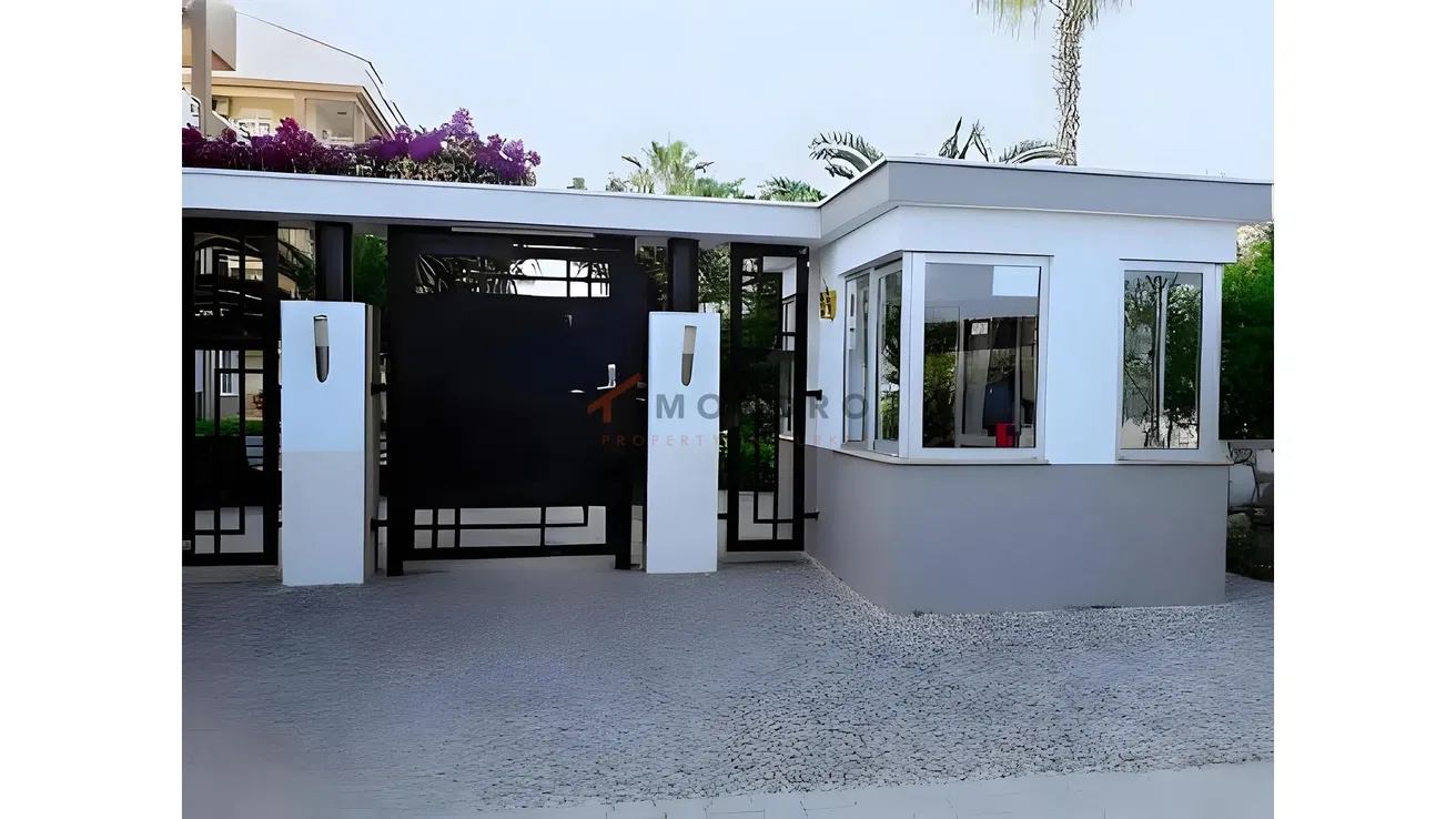 Kitchen; kitchen appliances, wood floor, natural light, modern style, renovated