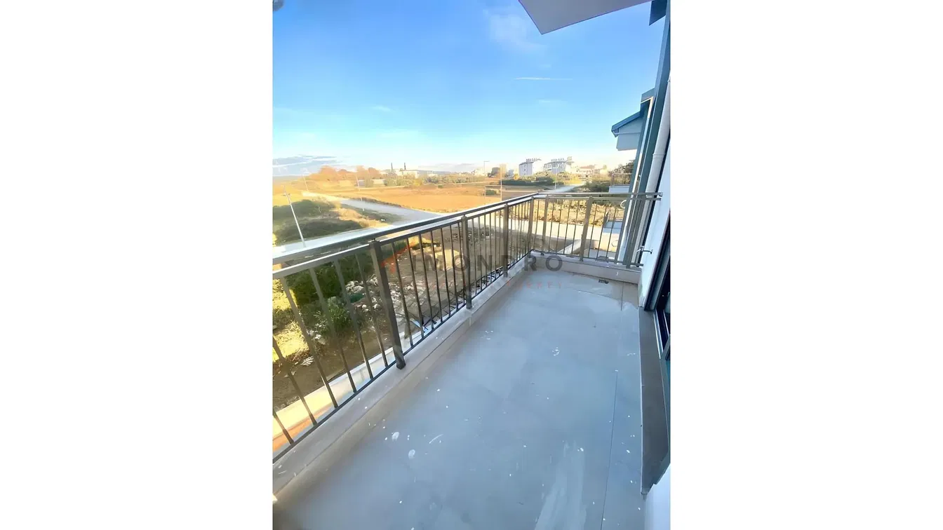 Kitchen; kitchen appliances, wood floor, natural light, modern style, renovated