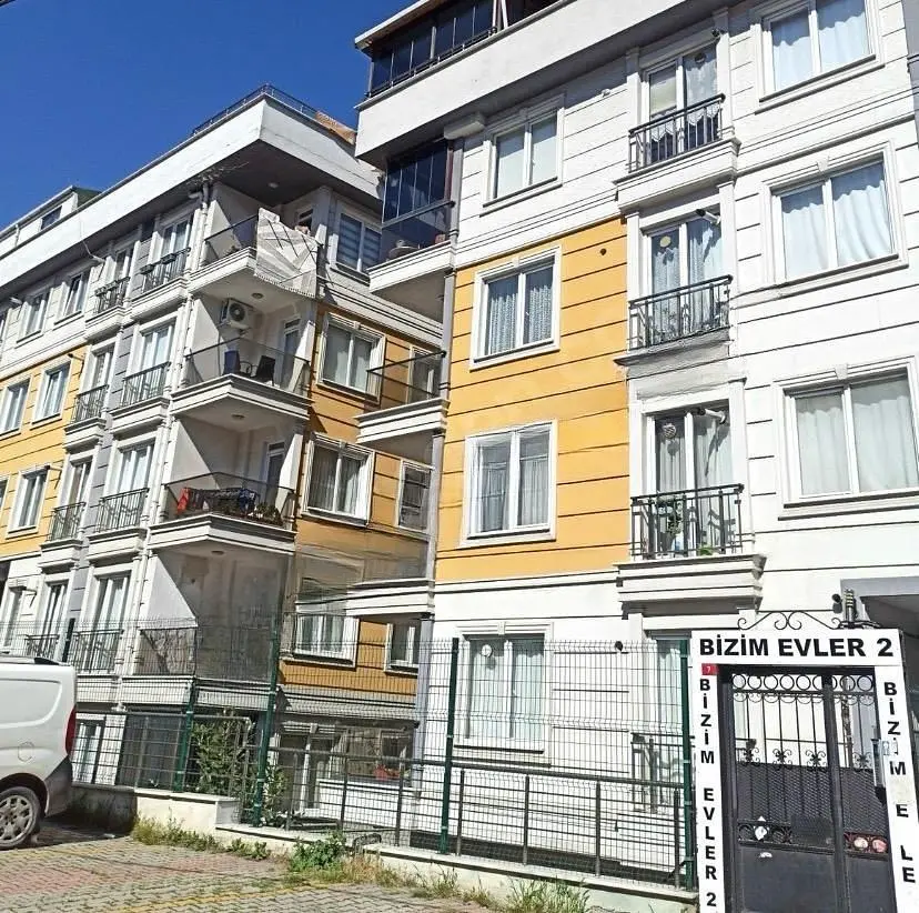 Kitchen; kitchen appliances, wood floor, natural light, modern style, renovated
