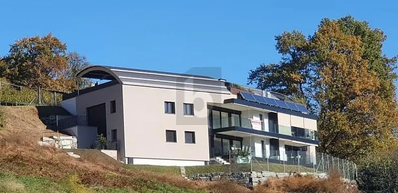 Wohnzimmer; holzboden, tageslicht, moderner stil, hohe decken