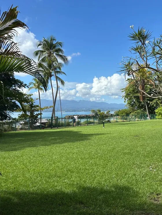 Oturma odası; ahşap zemin, doğal ışık, modern stil, yüksek tavan