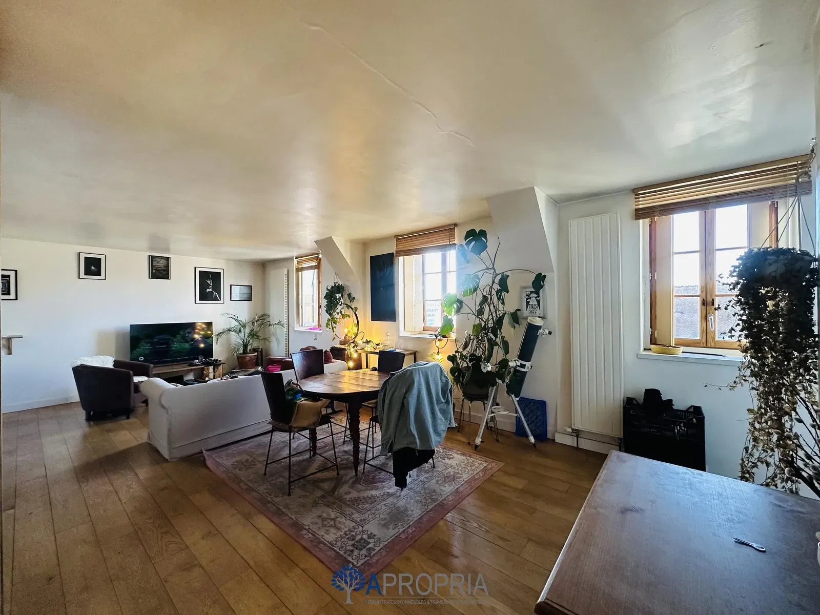 Obývačka; drevená podlaha, prirodzené svetlo, moderný štýl, vysoké stropy