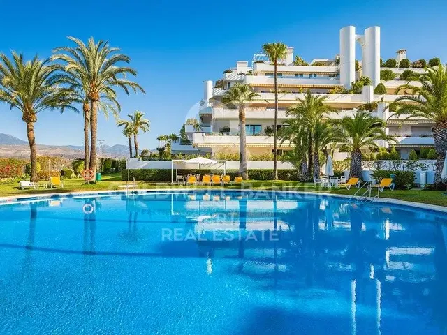 Кухня; кухненски уреди, дървен под, естествена светлина, модерен стил, ремонтиран