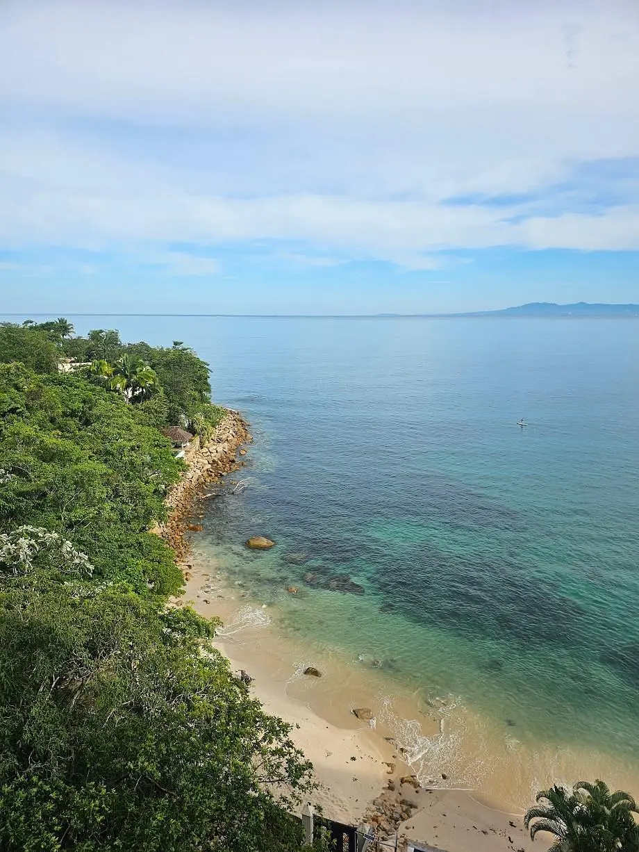 Salon; parquet, lumière naturelle, style moderne, hauteur sous plafond