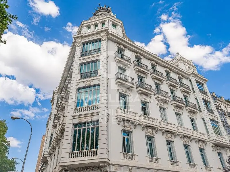 Κουζίνα; συσκευές κουζίνας, ξύλινο πάτωμα, φυσικό φως, μοντέρνο στυλ, ανακαινισμένο