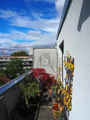 Wohnzimmer; holzboden, tageslicht, moderner stil, hohe decken