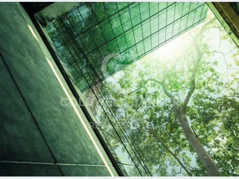 Living room; wood floor, natural light, modern style, high ceiling
