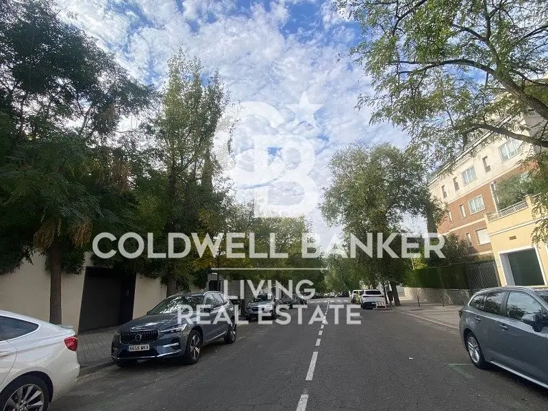 Kitchen; kitchen appliances, wood floor, natural light, modern style, renovated