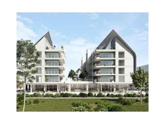 Kitchen; kitchen appliances, wood floor, natural light, modern style, renovated