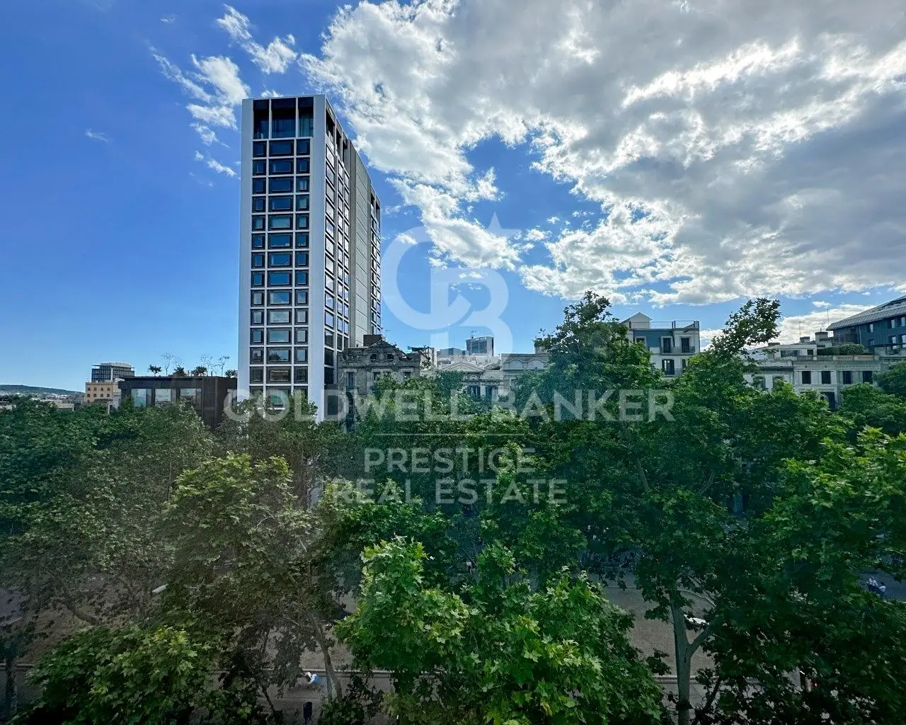 Keuken; keukenapparatuur, houten vloer, natuurlijk licht, moderne stijl, gerenoveerd