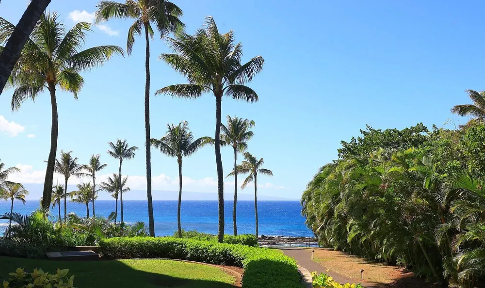 Soggiorno; pavimento in legno, luce naturale, stile moderno, soffitti alti