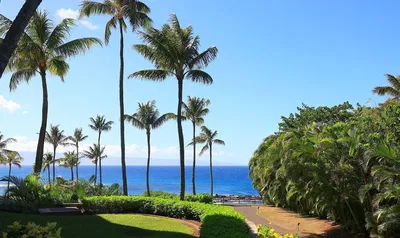 Soggiorno; pavimento in legno, luce naturale, stile moderno, soffitti alti