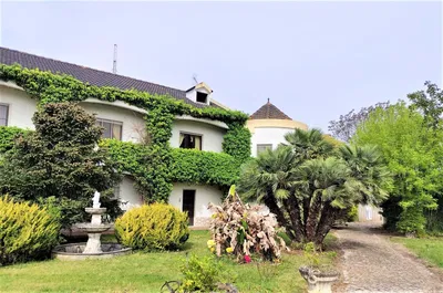 Küche; küchengeräte, holzboden, tageslicht, moderner stil, renoviert