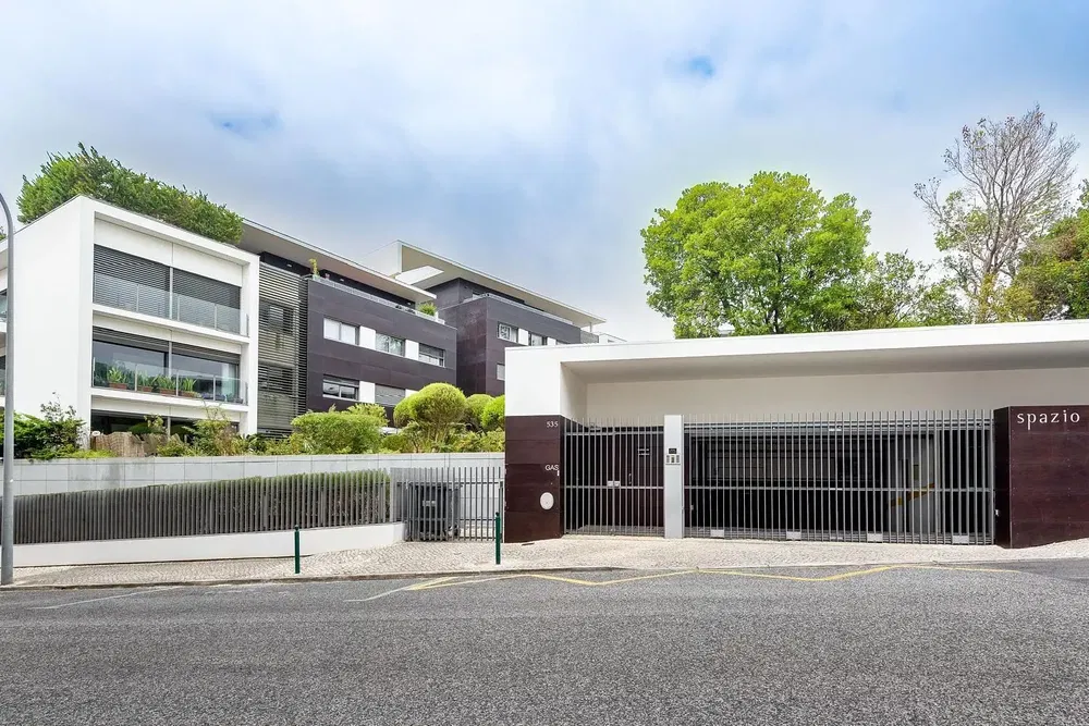 Kitchen; kitchen appliances, wood floor, natural light, modern style, renovated