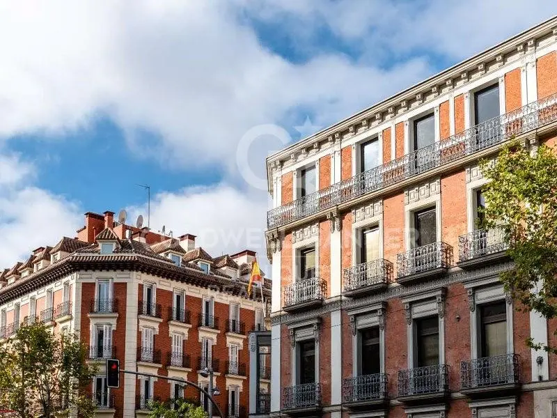 Dnevni boravak; drveni pod, prirodna svjetlost, moderan stil, visoki stropovi