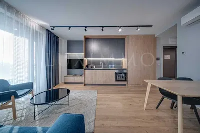 Living room; wood floor, natural light, modern style, high ceiling