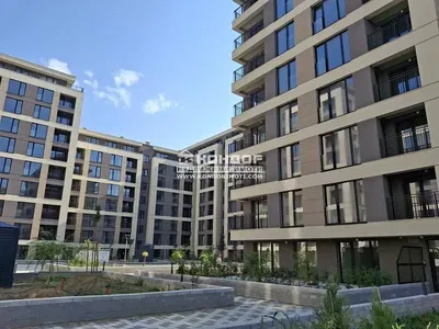 Kitchen; kitchen appliances, wood floor, natural light, modern style, renovated