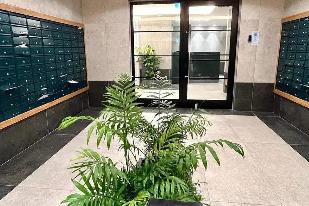 Cuisine; électroménager, parquet, lumière naturelle, style moderne, rénové