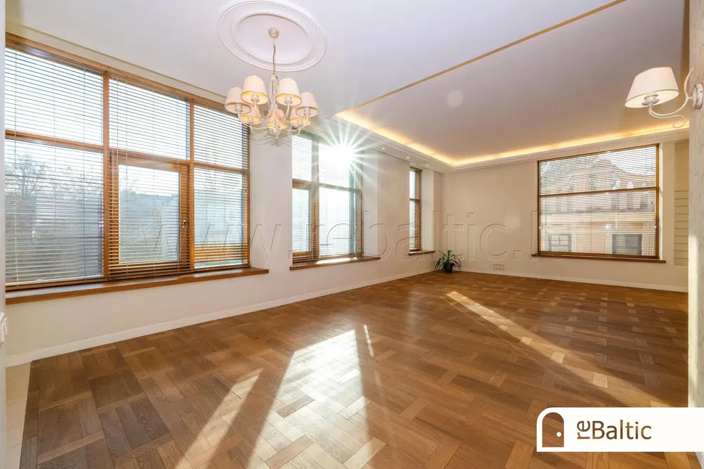 Salon; parquet, lumière naturelle, style moderne, hauteur sous plafond