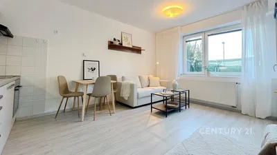 Küche; küchengeräte, holzboden, tageslicht, moderner stil, renoviert