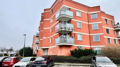 Wohnzimmer; holzboden, tageslicht, moderner stil, hohe decken