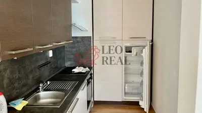 Wohnzimmer; holzboden, tageslicht, moderner stil, hohe decken