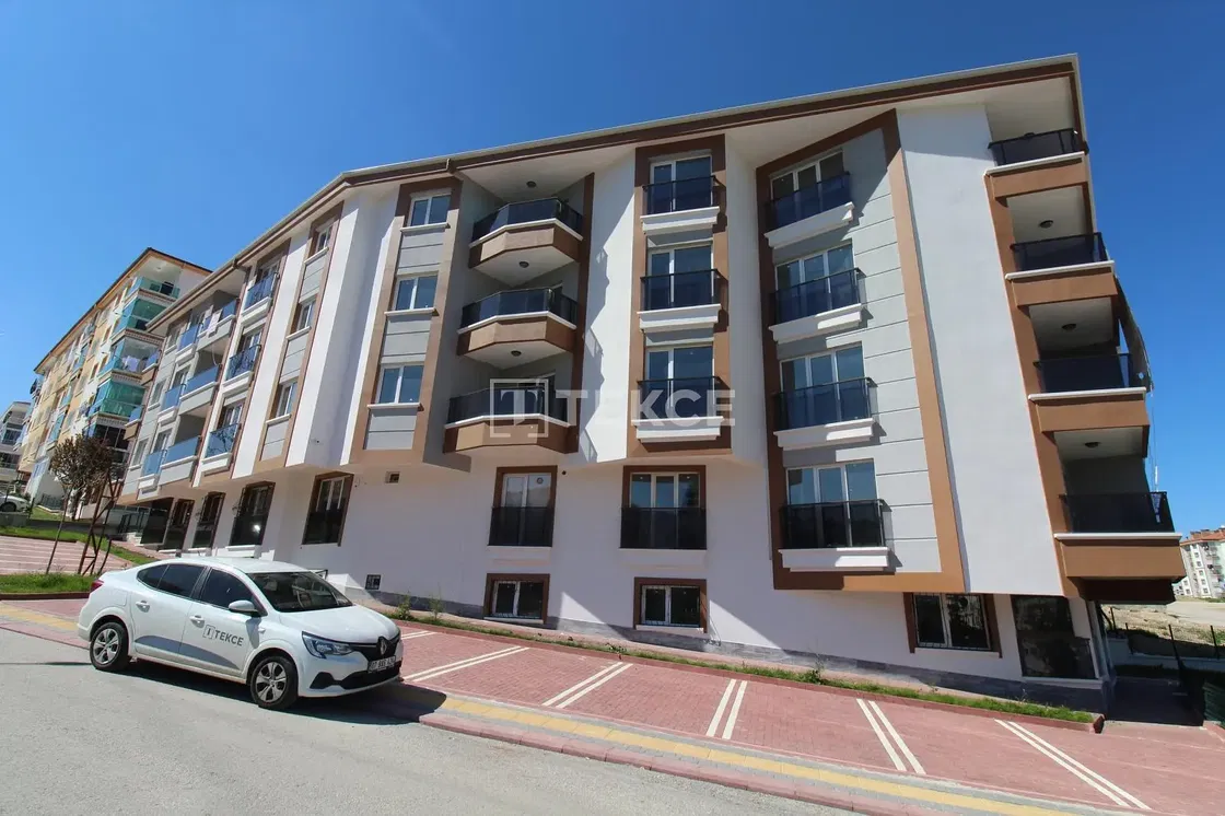 Mutfak; mutfak aletleri, ahşap zemin, doğal ışık, modern stil, tadilatlı